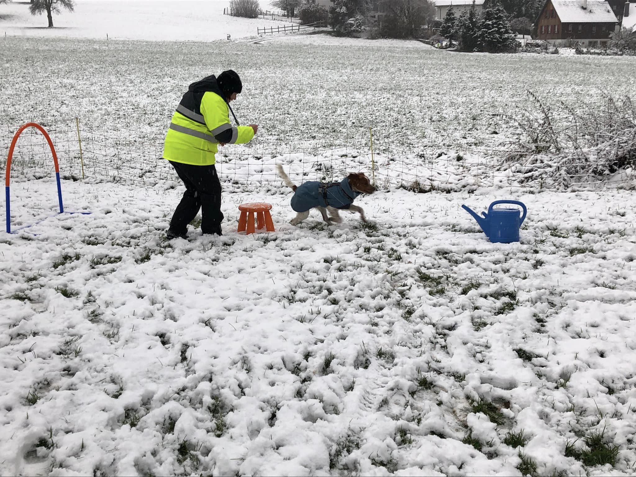 Hundeplauschgruppe